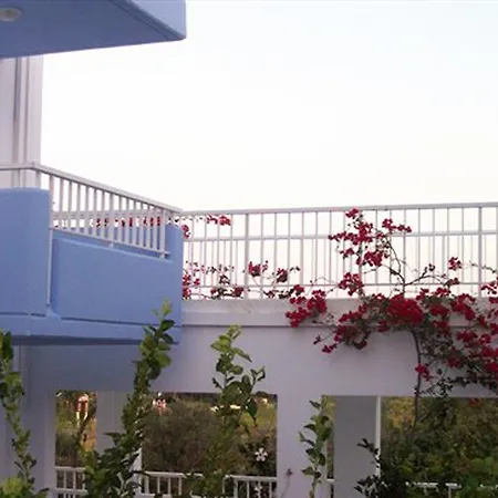 Irena Ii Kaloudis * Τιγκάκι